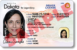 Driver license sample