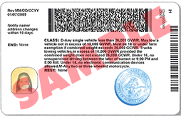 Back of Driver License