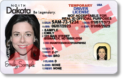 Non-Federal - Temporary Driver License