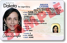 Non-Federal Driver License