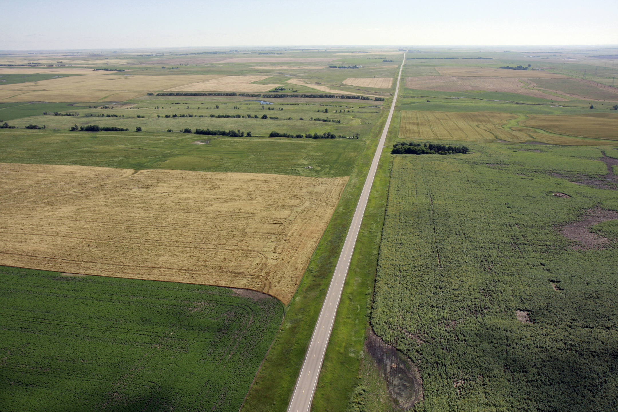 Photo of highway near agricultural fields in North Dakota